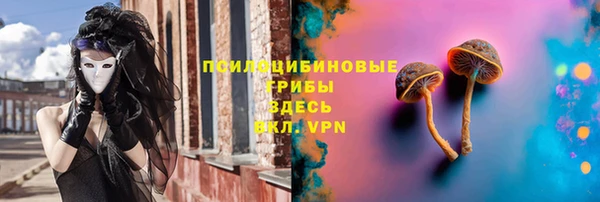 МДПВ Абдулино
