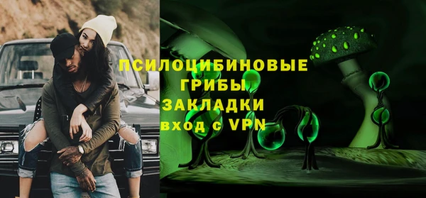 индика Рославль