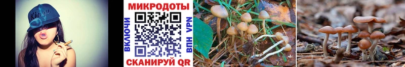 Галлюциногенные грибы GOLDEN TEACHER сколько стоит Кириллов